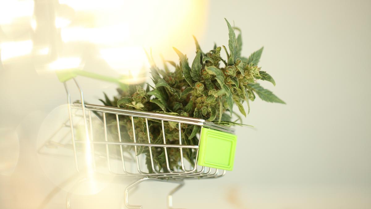 Here's how prices for New Mexico's cannabis stacks up nationally