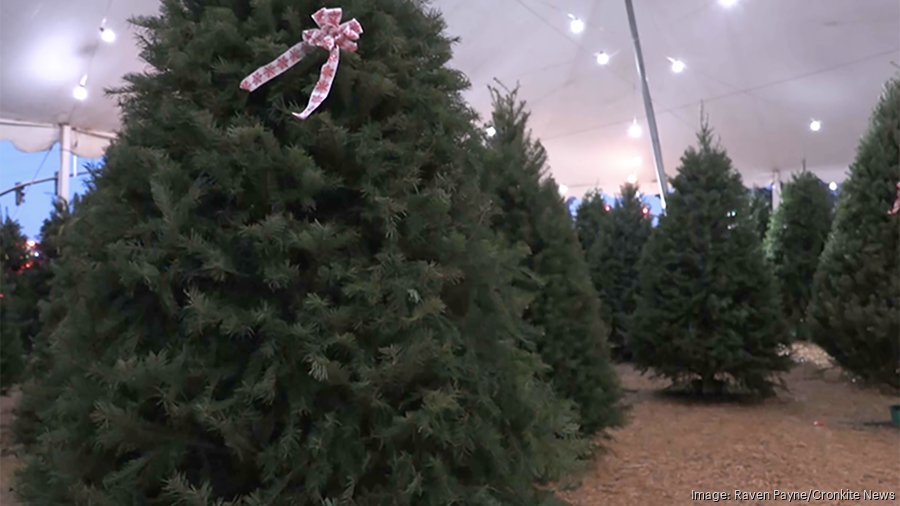 Fewer Christmas trees in Oregon means fewer trees in metro Phoenix