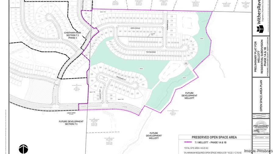 Plans approved for subdivision with 100+ new homes in Pittsboro