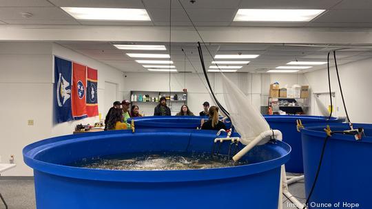 Fish tanks at the Ounce of Hope farm