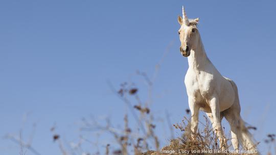 Unicorn on hilltop