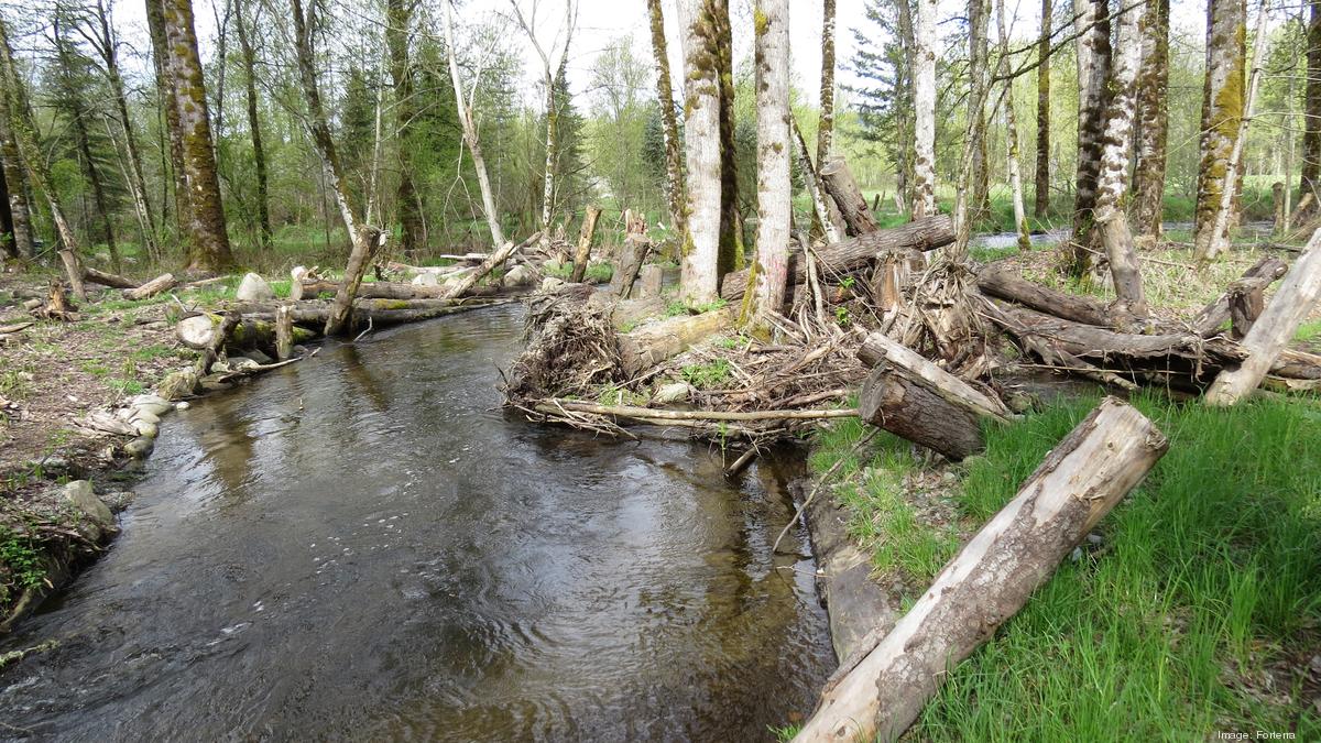 Forterra land deals in Pierce County aim to preserve salmon habitat