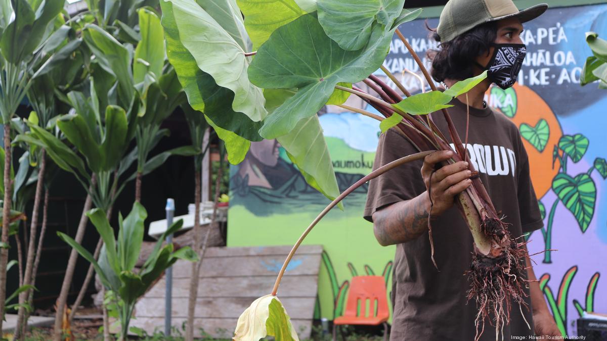 Hawaii Tourism Authority, Hawaii Community Foundation to fund 31