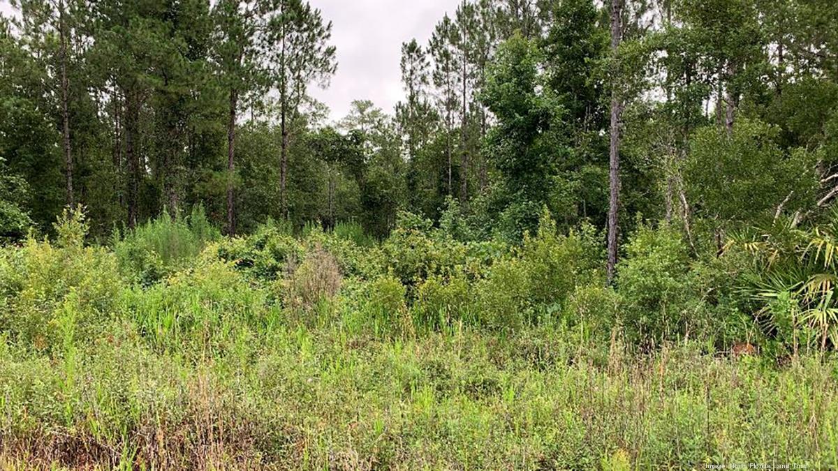 North Florida Land Trust acquires parcel from Weyerhaeuser Corporation