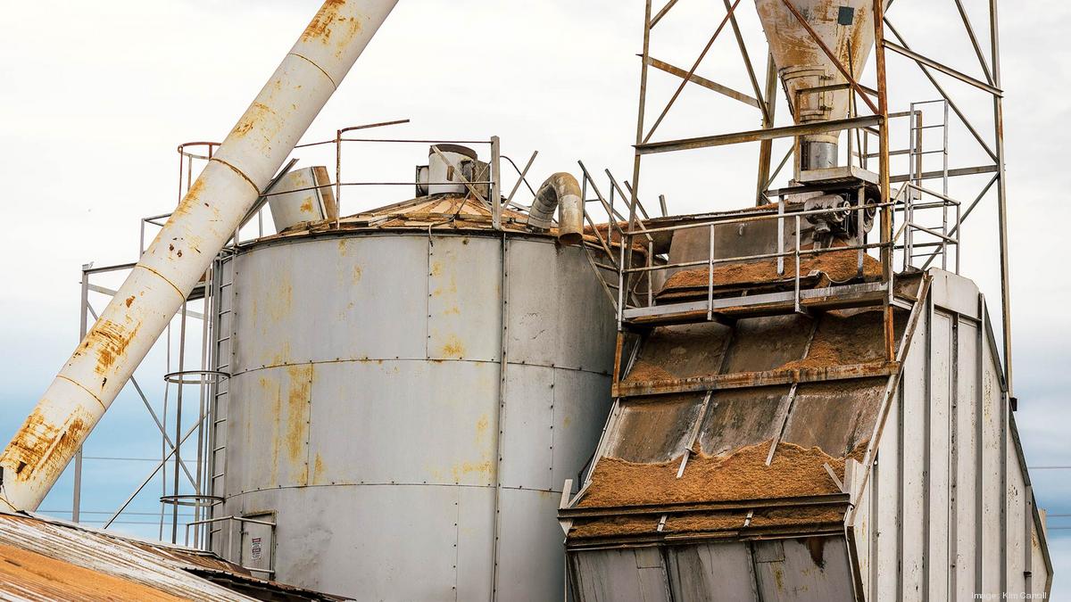 Luxury housing transforms former site of Healdsburg lumber mill San