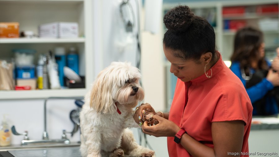 Louisville veterinary dermatologist Dr. Joya Griffin lands show on Nat