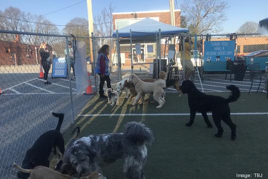 Doggos Dog Park & Pub