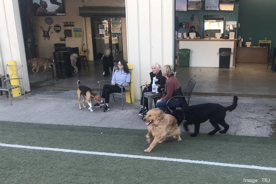 Doggos Dog Park & Pub