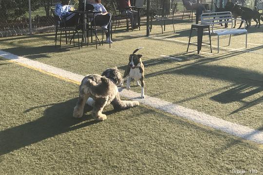 Doggos Dog Park & Pub