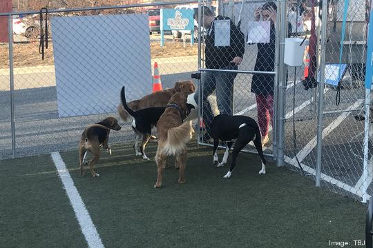 Doggos Dog Park & Pub