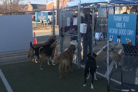 Doggos Dog Park & Pub