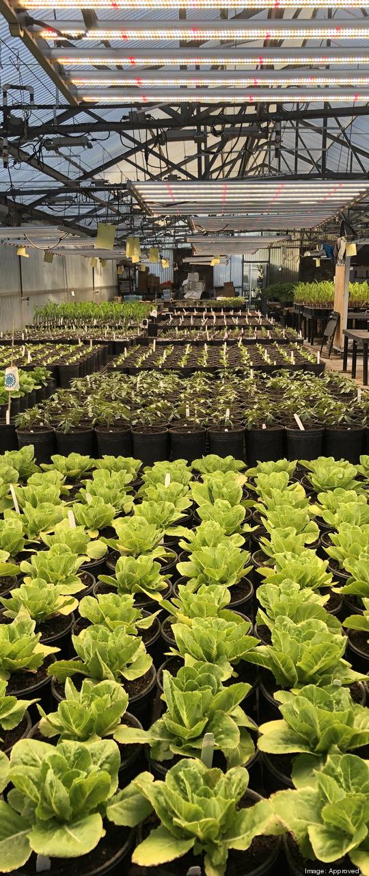 BioConsortia greenhouse