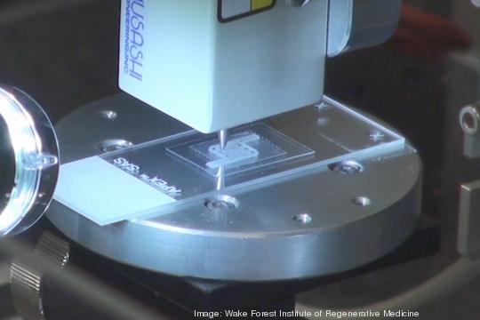 Wake Forest Institute of Regenerative Medicine - organoid printing screenshot2