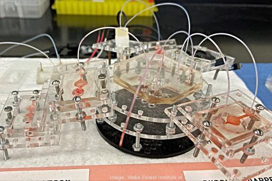 Wake Forest Institute of Regenerative Medicine - body-on-a-chip set up