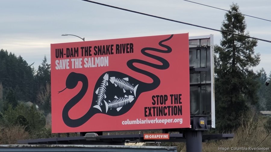 Save the Salmon billboard