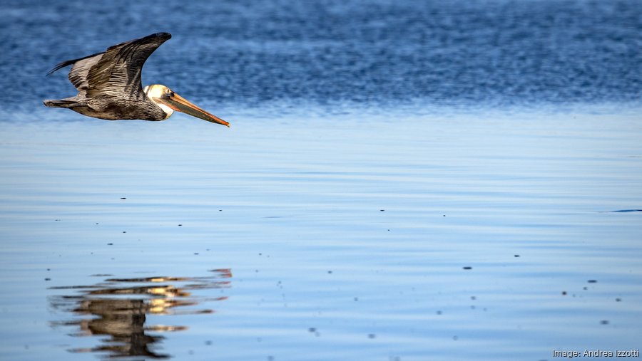 3 reasons why businesses are choosing La Marque Houston Business Journal