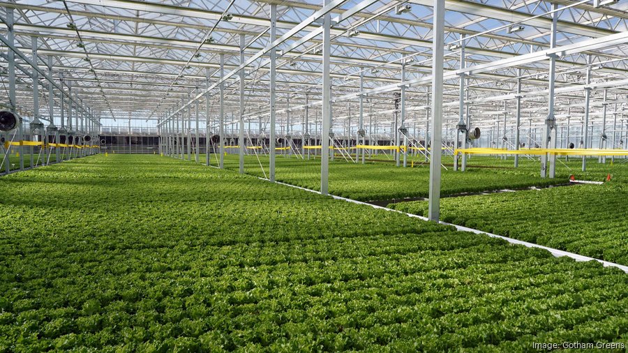 Gotham Greens Opens Colorado Greenhouse