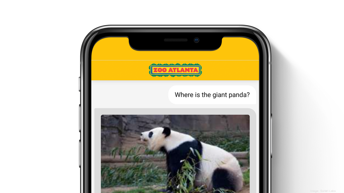 Zoo Atlanta Aims To Enhance Visitor Experience With AI Platform   Zoo Atlantapanda Card*1200xx1500 844 0 0 