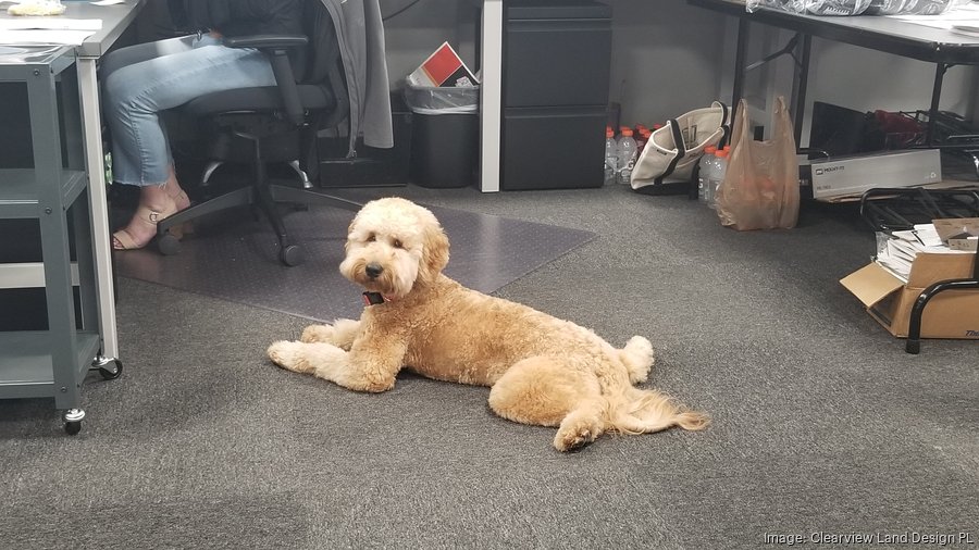 Clearview Land Design, 2022 Best Places to Work Tampa Bay Business