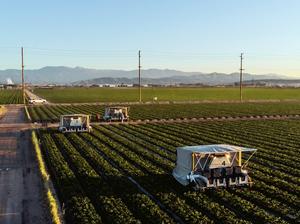 Advanced Farm Technologies Inc. Strawberry harvester