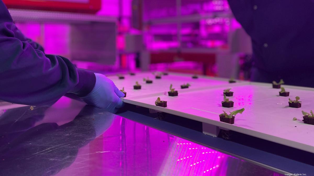 New lettucegrowing warehouse sprouts in Aurora Denver Business Journal