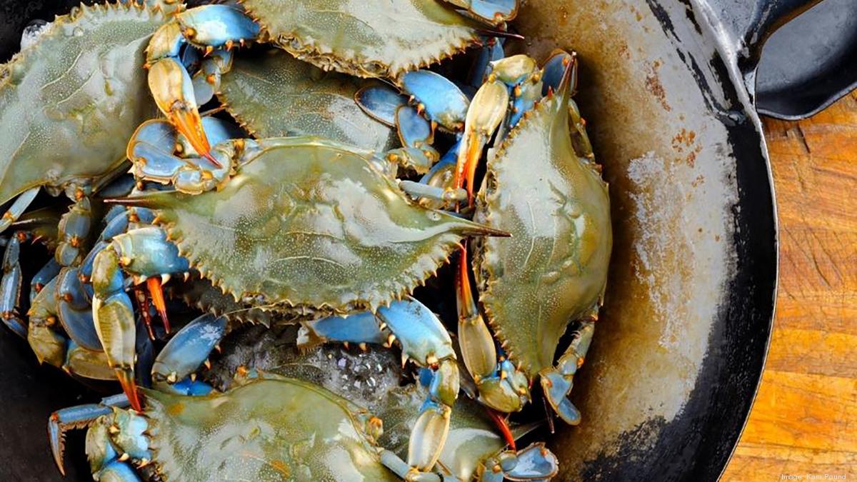 Headliners announced for May 2729 Palatka Blue Crab Festival Jacksonville Business Journal