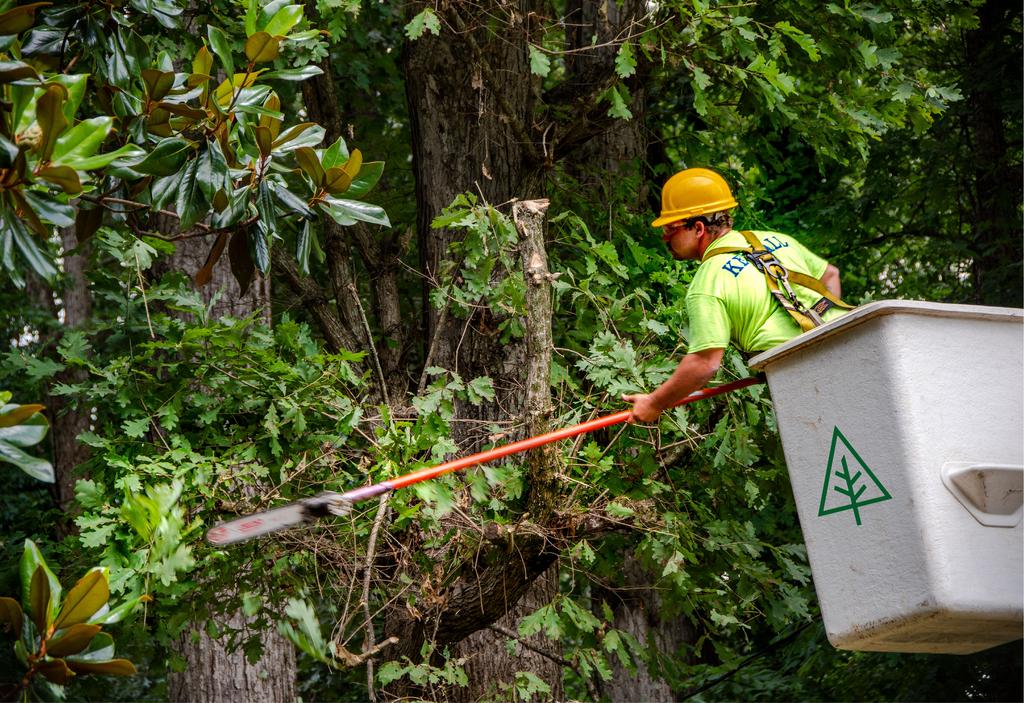 Kendall Vegetation Services BizSpotlight - Atlanta Business Chronicle