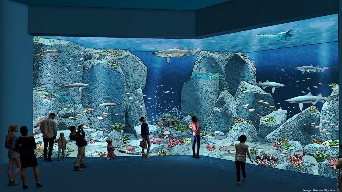 Kansas City Zoo’s $75M aquarium opens today, bringing the oceans to the