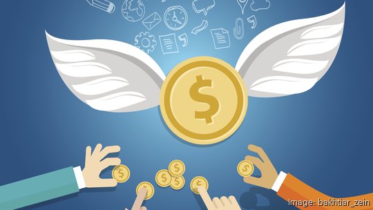 angel investor money fund management startup coin wings fly