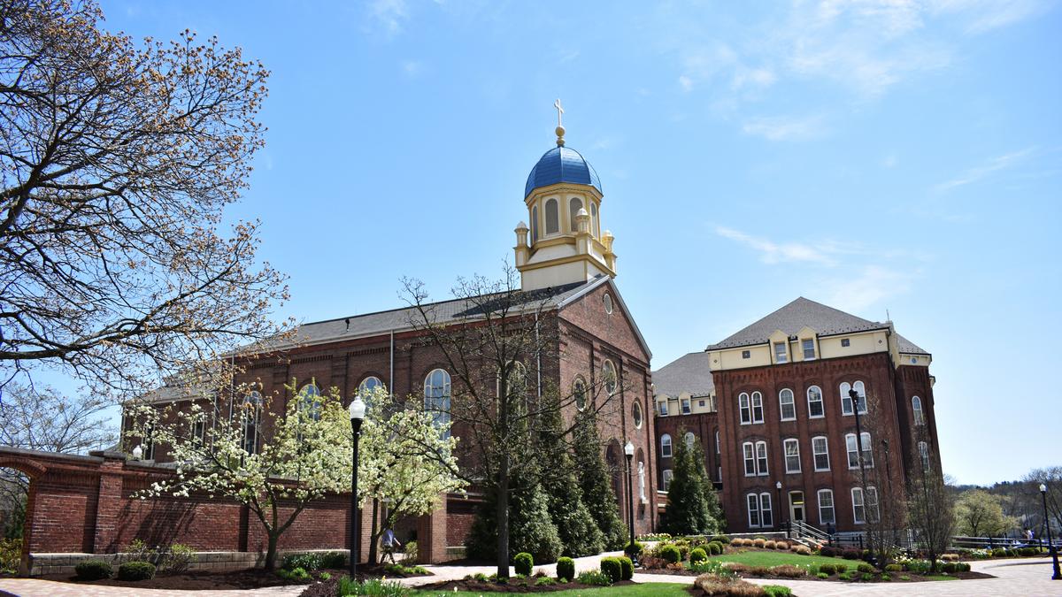 university of dayton undergraduate enrollment