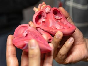 3D printed heart