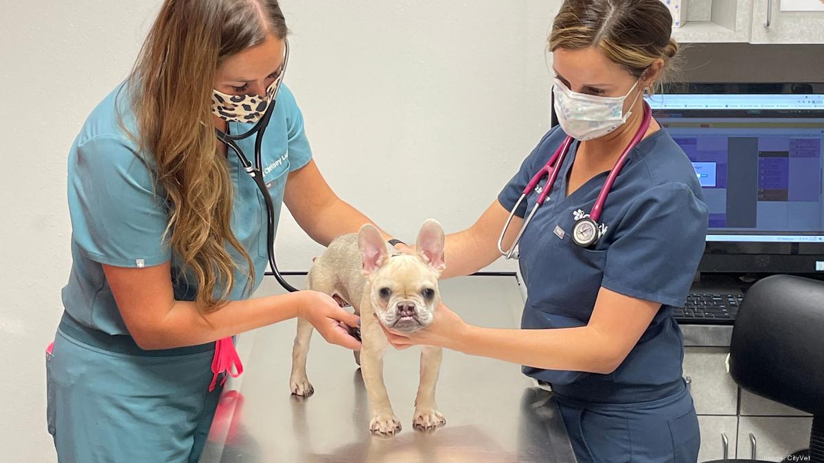 Dallasbased CityVet rolls out plans for three new San Antonioarea clinics San Antonio