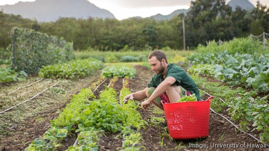 Farm Visits