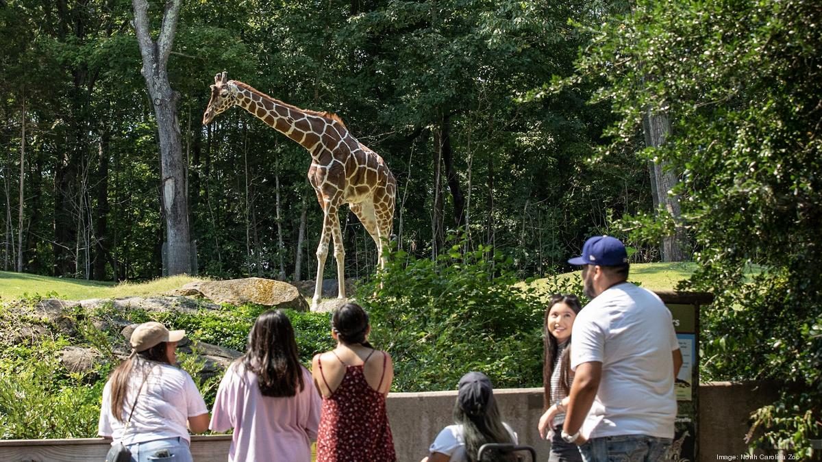 NC Zoo to launch construction of Asia exhibit, sets sights again on 1M  visitors - Triad Business Journal