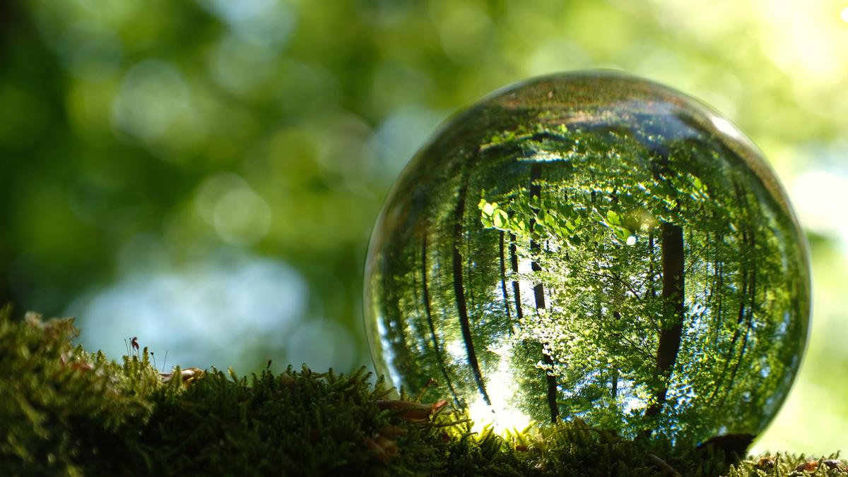 Enhanced ESG transparency: How to prepare for the future that’s here ...