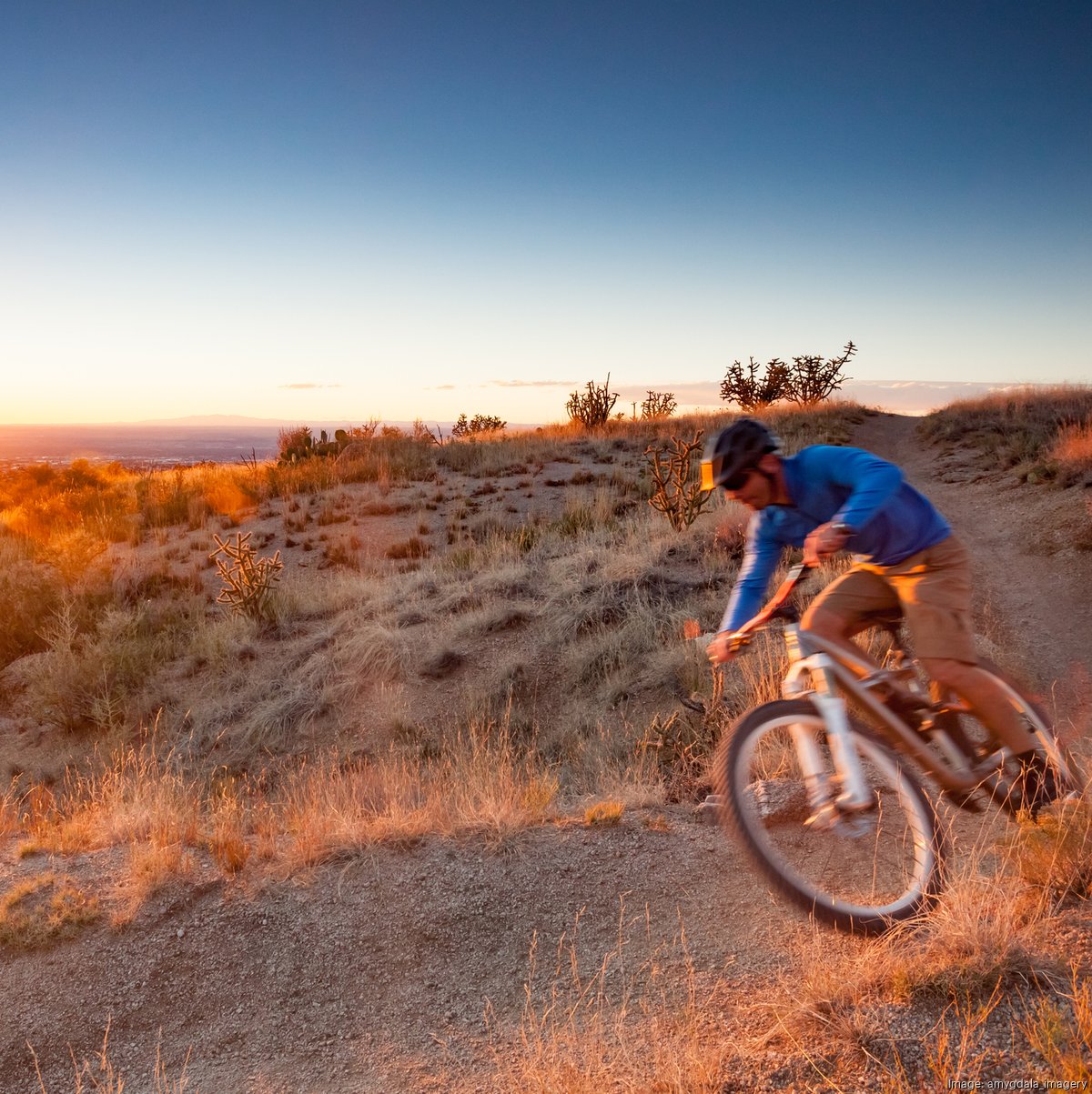 Why hiking and biking are among the best ways to explore Albuquerque, New  Mexico - Phoenix Business Journal