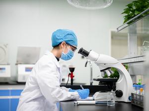 A young woman doctor was working at a microscope