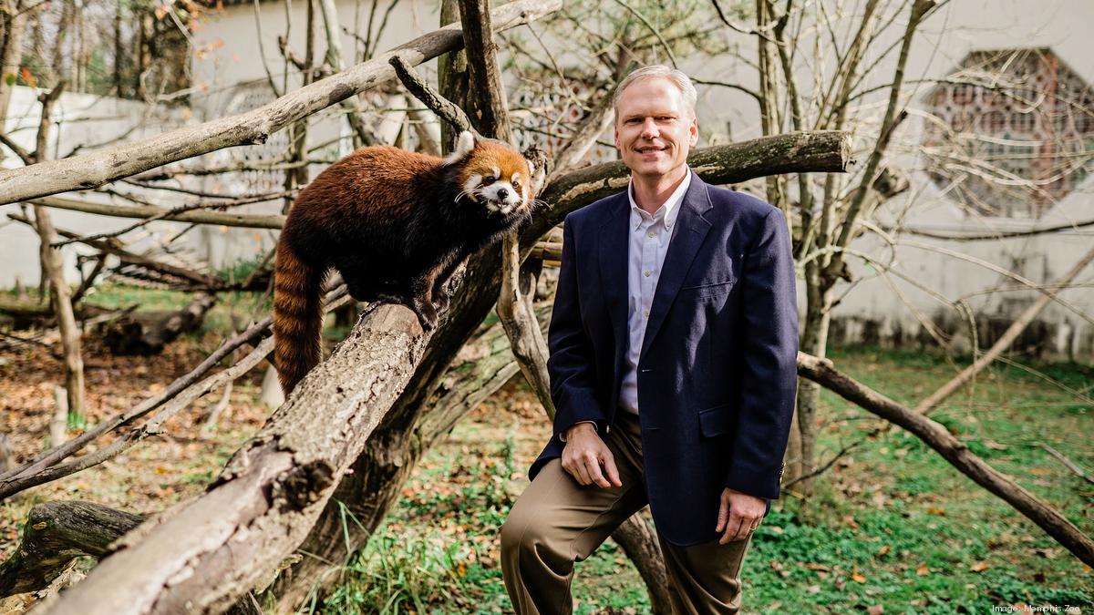 New Memphis Zoo president Matt Thompson on future upgrades, solid financial  footing following the pandemic, and the parking resolution with the Overton  Park Conservancy - Memphis Business Journal