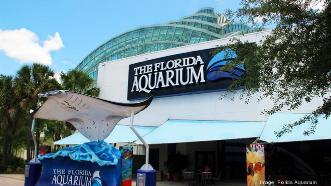 Florida Aquarium to become new home of the Rays - Tampa News Force