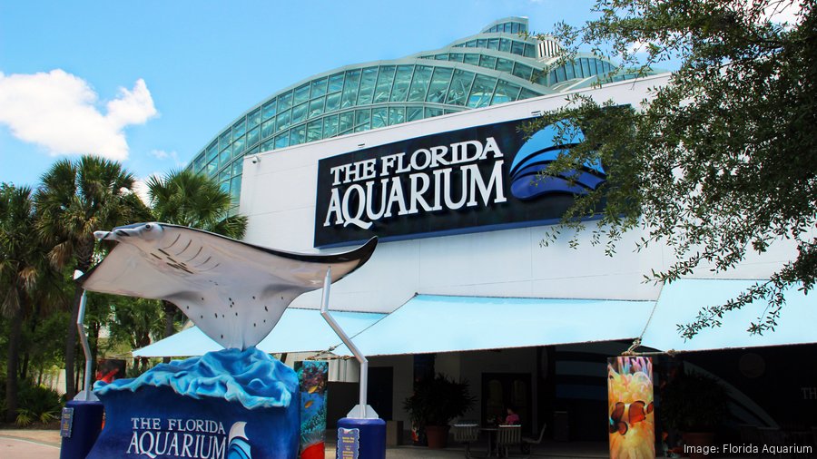 Florida Aquarium to become new home of the Rays - Tampa News Force