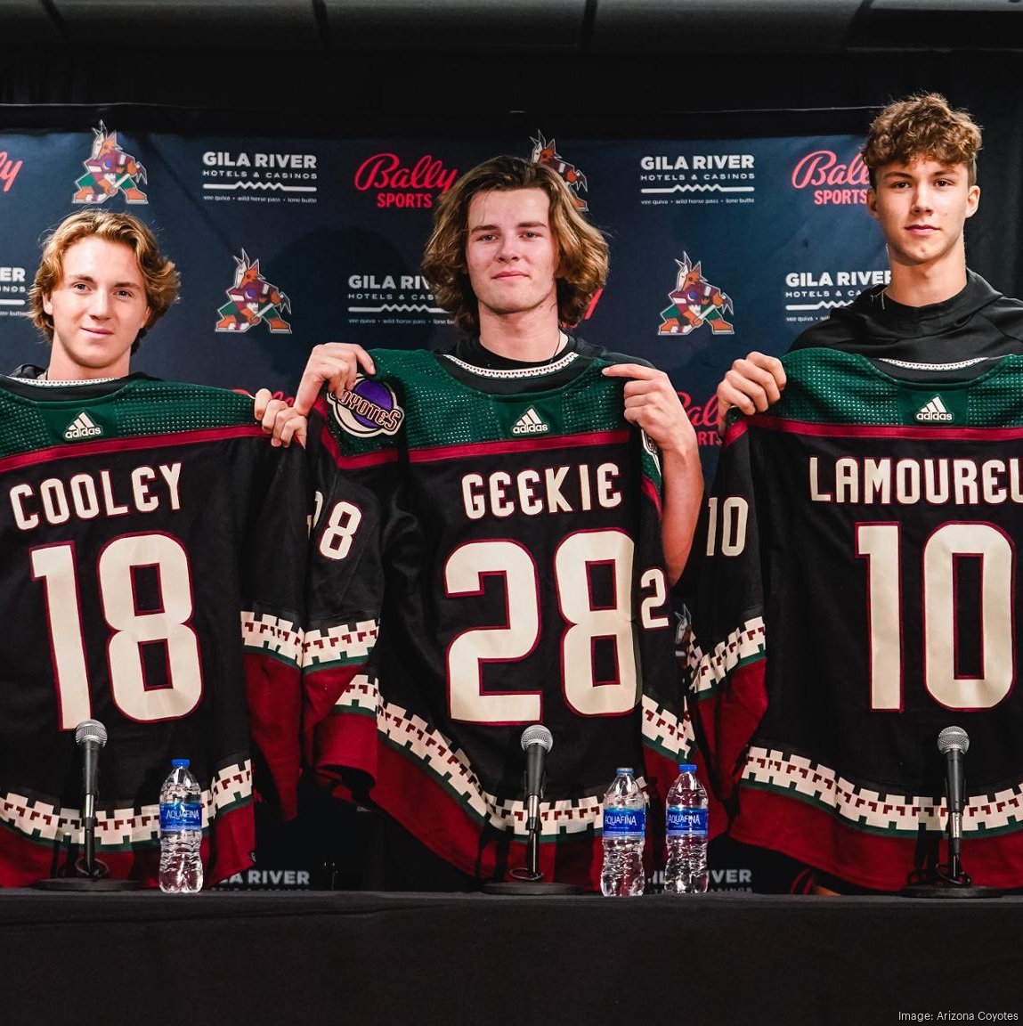 Arizona Coyotes enter rebuild mode with three picks in 2022 NHL Draft