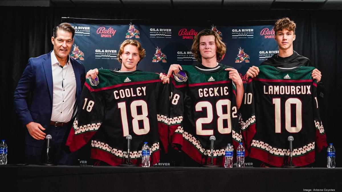 Arizona Coyotes slammed for 'inexplicable' first-round NHL Draft picks