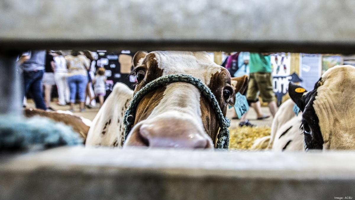 Wisconsin State Fair Returns To Over 1 Million In Attendance ...