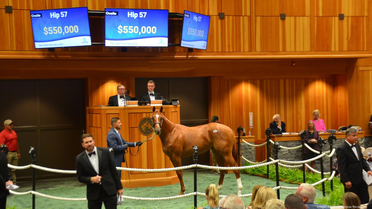 Fasig Tipton Saratoga Sale 2024 Olympics Corny Doralia