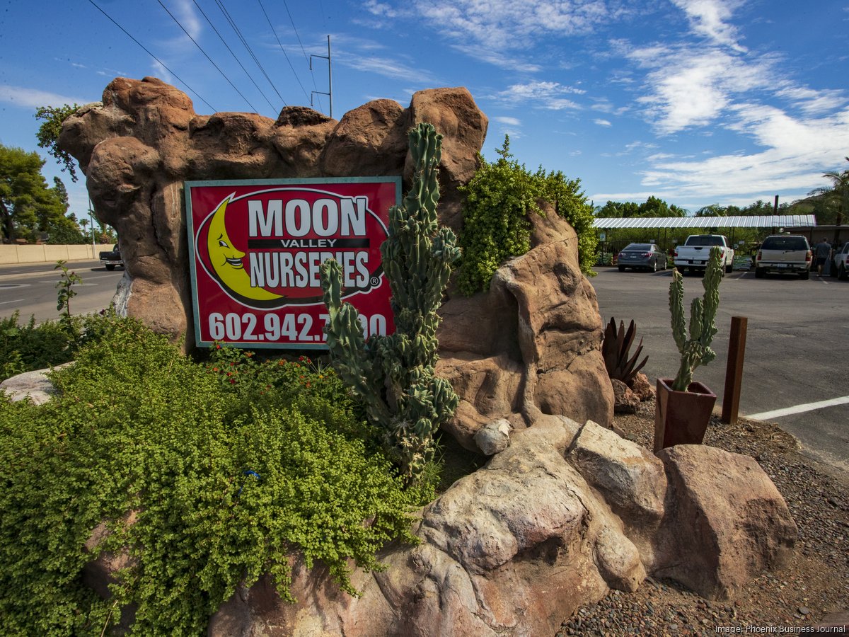 Moonvalley office
