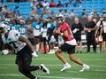 Carolina Panthers host Fan Fest at Bank of America Stadium in Charlotte -  Charlotte Business Journal