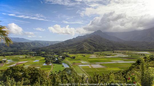 Wide View Hanalei Valley