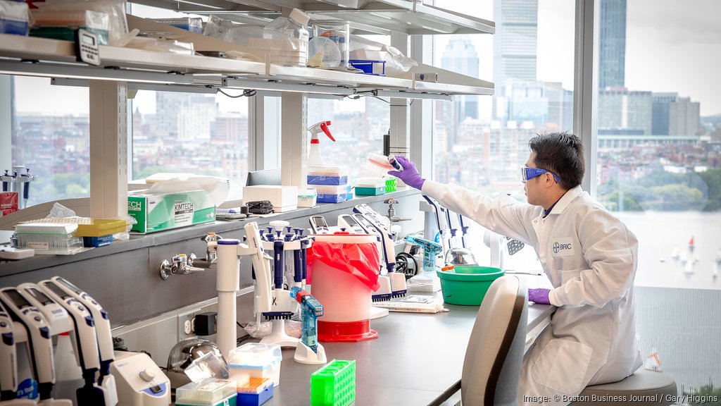 Bayer expands in Cambridge with new incubator for cell and gene therapy startups Boston