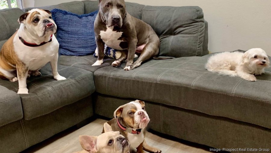 2022 Best Places to Work Orlando's Prospect Real Estate Group