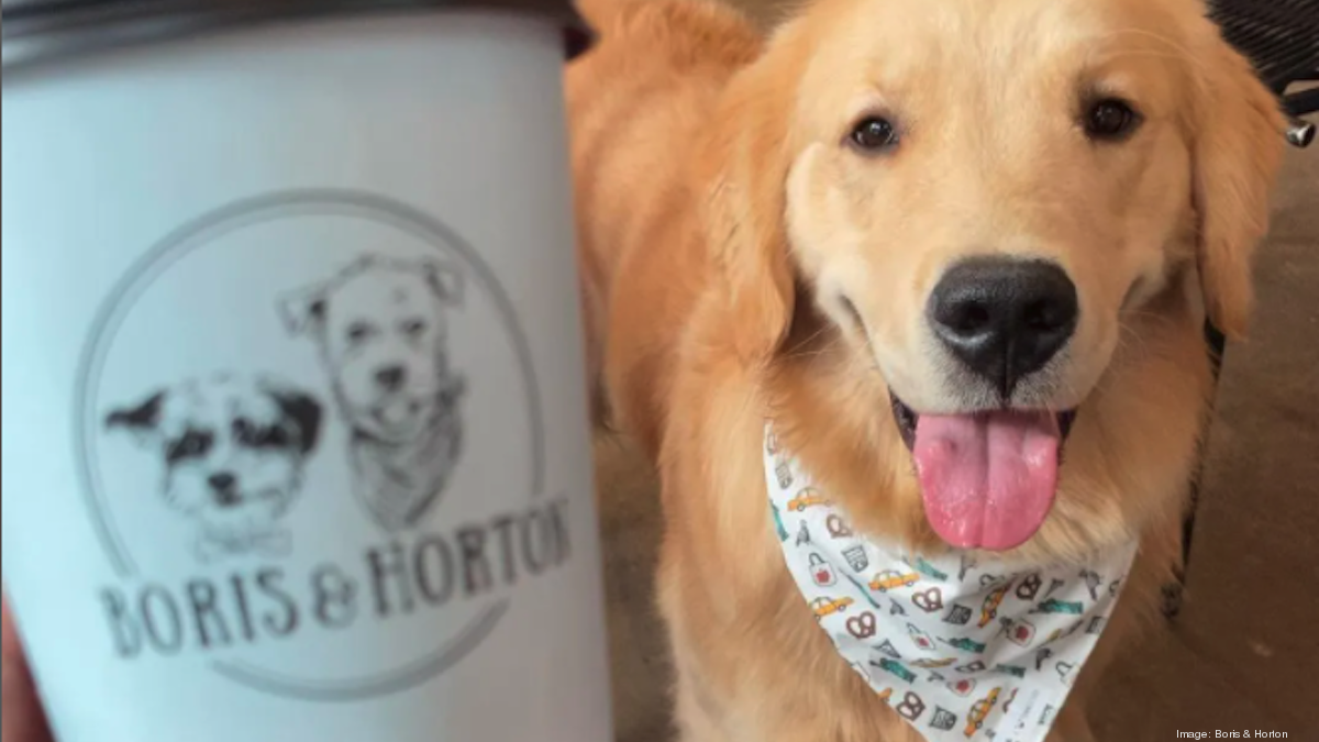 Dog café in New York City: Boris & Horton pairs coffee with canines